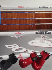 Ρινκ πυγμαχίας και kick boxing-thumb-10