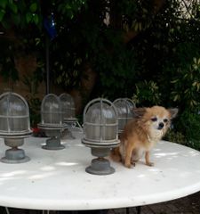 φωτιστικά εξωτερικού χώρου