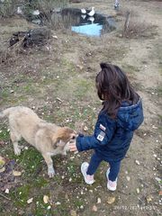 Χαρίζονται