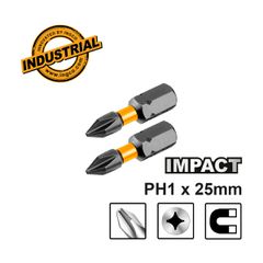 Κατσαβιδόμυτες Impact PH1x25mm 2 τεμ.