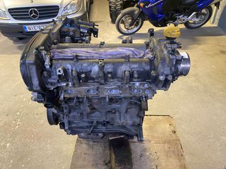 Alfa 2010-thumb-4