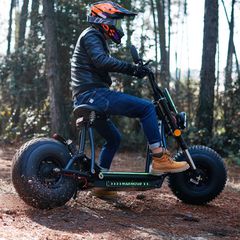Roller / Scooter 2025 ecobike