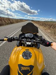 Triumph Tiger 1050 2007-thumb-5