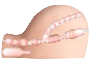 XXX To-Go with CONTROLLER III Anus - Vagina