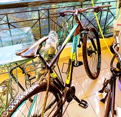 All - Mountain Ridley 2023 29αρη