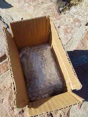 Rockers 125-300-thumb-4