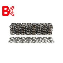 ΕΛΑΤΗΡΙΑ ΒΑΛΒΙΔΩΝ ΣΕΤ + TITANIUM ΡΕΤΑΙΝΕΡ KIT Brian Crower  1.8 20vt