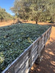 Mitsubishi 1997 Mitsubishi