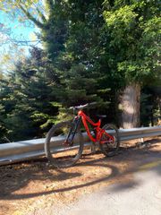 Downhill - Enduro - Trail Giant 2021 Reign 2 GE
