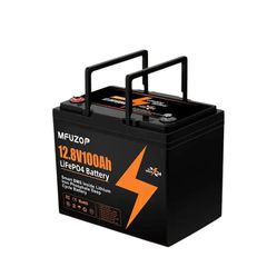 ΙΔΑΝΙΚΗ ΓΙΑ ΕΛΑΙΟΡΑΒΔΙΣΤΙΚΑ Μπαταρία LiFePo4 12V-100AH ME BMS