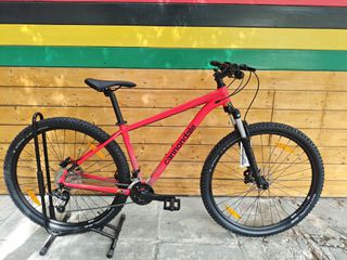 All - Mountain Cannondale 2024 trail