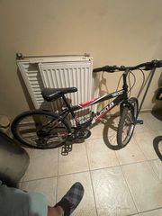All - Mountain Alpina 2015 1600