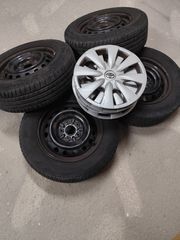 Ζαντολάστιχα