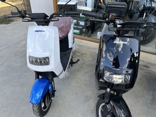 Daytona Elektra 50 2025