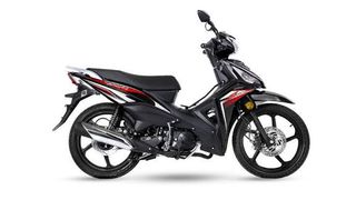 Letbe 2025 Lynx
