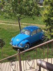 Volkswagen Beetle 1968 beetle 1968-thumb-15