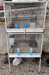 κλουβί πτηνών