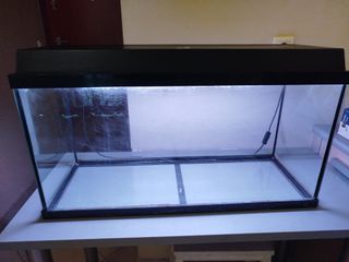 Ενυδρείο Juwel 100 λίτρα με εξωτερικό φίλτρο