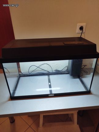 Ενυδρείο Juwel 60 λίτρα μήκος 60 εκ, βάθος 30 εκ και ύψος 33εκ. Με εσωτερικό φίλτρο και θερμοστάτη