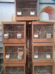 Πωλούνται εννέα (9) ξύλινα κλουβία