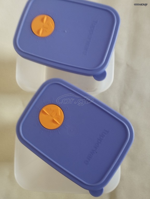 σετ 2 Ταπερ της TUPPERWARE για κατάψυξη