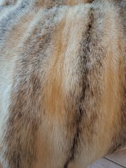 Παλτο βιζον