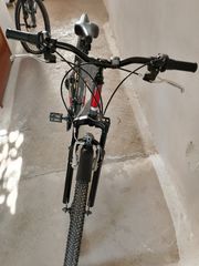 All - Mountain Alpina 2025