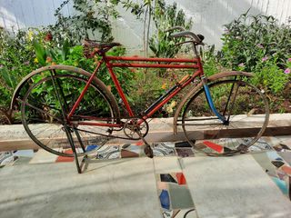 Πόλης Mifa 1955