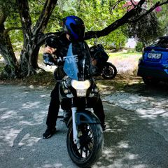 Aprilia Pegaso Strada 2006-thumb-1
