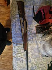 Benelli raffaello crio comfort