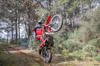 Rieju 2026 2026 MR 300i Racing-thumb-13