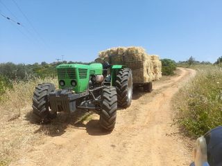 Tractor Deutz 1976 8006