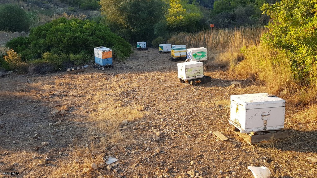 εξοπλισμοΓΙΑ ΜΕΛΙΣΙΑ