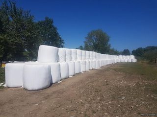 Πωλείται τρυφιλι ένσηρωμα και σανός λιολιο