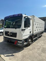 Παγωτατζίδικο MAN 2011 TGL 12.250