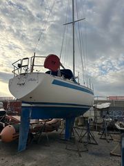 Ιστιοφόρο 1978 MAMBA 31-thumb-1