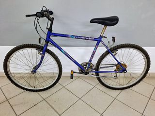 All - Mountain Raleigh 1995 Ascender
