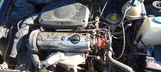Seat Ibiza 1998-thumb-21