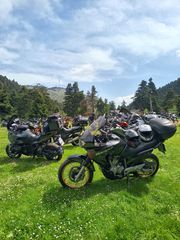 Honda Transalp 650 2001