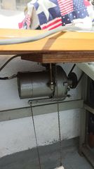 Κοπτοραπτης τετρακλωνος-thumb-8