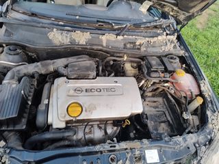 Opel Astra 2002 BERTONE CABRIO 1.6 FULL EXTRA