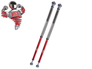 ΦΥΣΙΓΓΙΑ ΠΙΡΟΥΝΙΟΥ ΚΙΤ HONDA NX 500 YSS