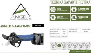 ANGELIS Ψαλίδι Κλαδέματος Μπαταρίας 16.8V 2x2Ah/4Ah με Μέγιστη Διάμετρο Κοπής 36mm σε Βαλιτσάκι Μεταφοράς 3636