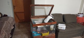 Κλουβί για κουνέλι