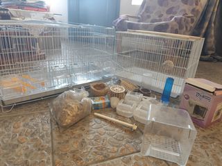 Ζευγαρωστρες