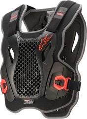 ΛΥΡΗΣ ALPINESTARS ΘΩΡΑΚΑΣ BIONIC ACTION, 27011034