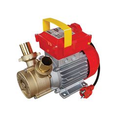 ΗΛΕΚΤΡΑΝΤΛΙΑ ROVER 30 CE 1HP 2850rpm (102104)