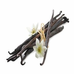 ΒΑΝΙΛΙΑ FRUCTUS UGANDA GOURMET (STICKS)