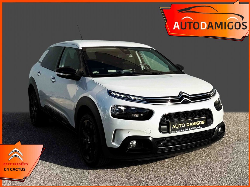 Citroen C4 Cactus 2019 1.5D SHINE 100PS NAVI-CAMERA EURO6 ΕΛΛΗΝΙΚΟ