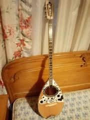 ΕΥΚΑΙΡΊΑ 250 ΕΥΡΩ ΠΩΛΕΊΤΑΙ ΣΧΕΔΩΝ ΚΑΙΝΟΥΡΓΙΟ ΤΡΙΧΟΡΔΟ ΕΠΑΓΓΕΛΜΑΤΙΚΟ ΜΠΟΥΖΟΎΚΙ